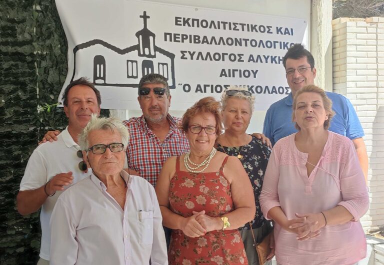 Αποτελέσματα εκλογών του Περιβαλλοντικού κ Πολιτιστικού συλλόγου Αλυκής