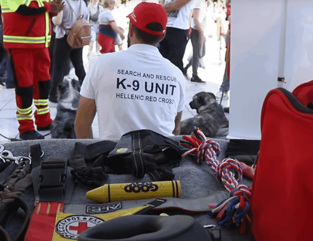 Σεμινάρια του ΕΕΣ για τα ζώα συντροφιάς | Και στην Πάτρα %CE%B5%CE%B5%CF%836