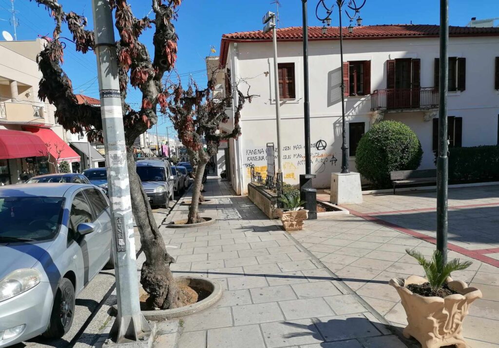 ΑΙΓΙΟ: Πρόβλημα με τα αδέσποτα... μόνιμους θαμώνες στην Μητροπόλεως – ΦΩΤΟ 423568669 318764833966110 1959271170585341212 n