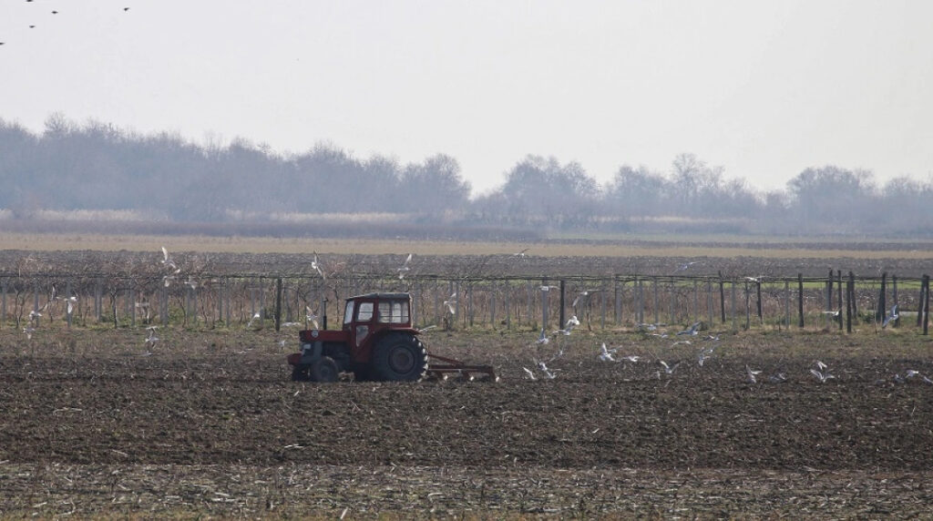 Mercosur και το νέο αγροτικό τοπίο: Πώς αλλάζει το μέλλον της παραγωγής στην Αχαΐα mixanima